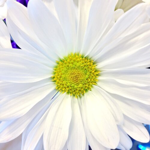 Estate Planning Document Breakdown